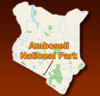 Safari Tsavo Est e Amboseli 3 Giorni e 2 Notti