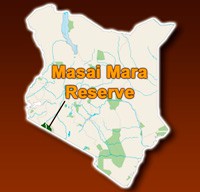 Safari Masai Mara 2 Giorni e 1 Notte